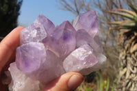 Natural Jacaranda Amethyst Clusters x 3 From Mumbwa, Zambia