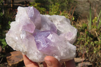 Natural Jacaranda Amethyst Clusters x 3 From Mumbwa, Zambia