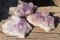 Natural Jacaranda Amethyst Clusters x 3 From Mumbwa, Zambia