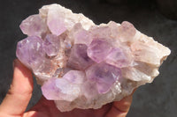 Natural Jacaranda Amethyst Clusters x 3 From Mumbwa, Zambia