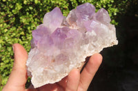 Natural Jacaranda Amethyst Clusters x 3 From Mumbwa, Zambia