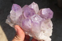 Natural Jacaranda Amethyst Clusters x 3 From Mumbwa, Zambia