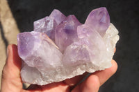 Natural Jacaranda Amethyst Clusters x 3 From Mumbwa, Zambia