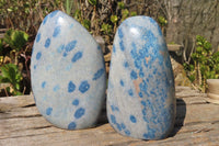 Polished Blue Spotted Spinel Quartz Standing Free Forms x 2 From Madagascar