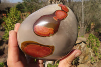 Polished Polychrome Jasper Standing Free Forms  x 2 From Mahajanga, Madagascar