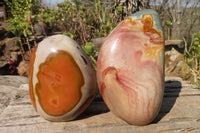 Polished Polychrome Jasper Standing Free Forms  x 2 From Mahajanga, Madagascar