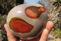 Polished Polychrome Jasper Standing Free Forms  x 2 From Mahajanga, Madagascar