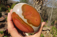 Polished Polychrome Jasper Standing Free Forms  x 2 From Mahajanga, Madagascar