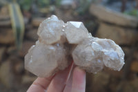 Natural Smokey Quartz Clusters x 6 From Luena, Congo