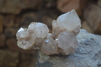 Natural Smokey Quartz Clusters x 6 From Luena, Congo