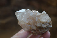 Natural Smokey Quartz Clusters x 6 From Luena, Congo