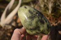 Polished Leopard Stone Free Forms  x 4 From Zimbabwe