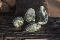 Polished Leopard Stone Free Forms  x 4 From Zimbabwe