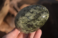 Polished Leopard Stone Free Forms  x 4 From Zimbabwe