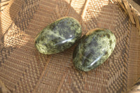 Polished Leopard Stone Free Forms  x 4 From Zimbabwe