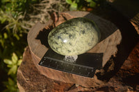 Polished Leopard Stone Free Forms  x 4 From Zimbabwe