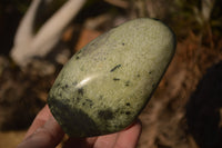 Polished Leopard Stone Free Forms  x 4 From Zimbabwe