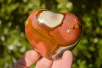 Polished Polychrome Jasper Hearts  x 6 From Mahajanga, Madagascar