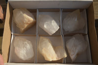 Natural Large Quartz Crystals  x 6 From Madagascar