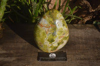 Polished Green Opal Standing Free Form  x 1 From Antsirabe, Madagascar