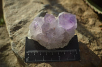 Natural Jacaranda Amethyst Clusters x 6 From Mumbwa, Zambia