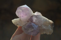 Natural Jacaranda Amethyst Clusters x 6 From Mumbwa, Zambia