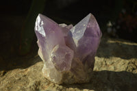 Natural Jacaranda Amethyst Clusters x 6 From Mumbwa, Zambia