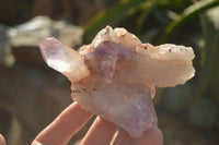 Natural Jacaranda Amethyst Clusters x 6 From Mumbwa, Zambia