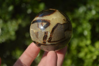 Polished Septeria (Calcite & Aragonite) Spheres x 6 From Madagascar