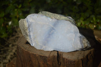 Natural Blue Lace Agate Geode Specimens  x 4 From Nsanje, Malawi