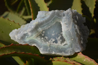 Natural Etched Blue Chalcedony Specimens  x 3 From Nsanje, Malawi