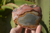 Polished One Side Polished Polychrome Jasper Nodules  x 6 From Mahajanga, Madagascar