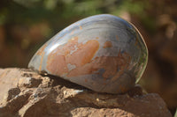 Polished One Side Polished Polychrome Jasper Nodules  x 6 From Mahajanga, Madagascar