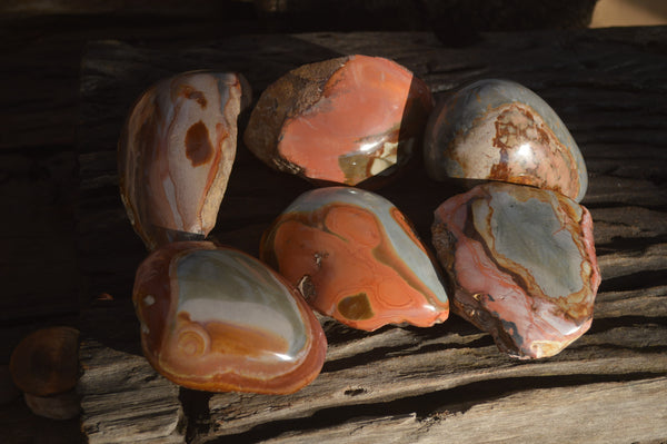 Polished One Side Polished Polychrome Jasper Nodules  x 6 From Mahajanga, Madagascar