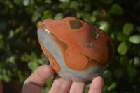 Polished One Side Polished Polychrome Jasper Nodules  x 6 From Mahajanga, Madagascar