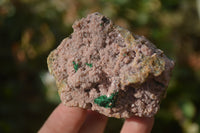 Natural Pink Salrose Cobaltion Dolomite Specimens x 6 From Kakanda, Congo