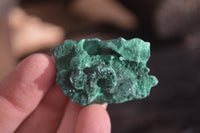 Natural Chatoyant Silky Malachite Specimens  x 35 From Congo