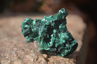 Natural Chatoyant Silky Malachite Specimens  x 35 From Congo