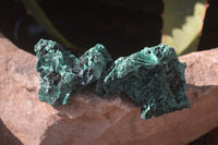 Natural Chatoyant Silky Malachite Specimens  x 35 From Congo