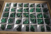 Natural Chatoyant Silky Malachite Specimens  x 35 From Congo