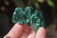 Natural Chatoyant Silky Malachite Specimens  x 35 From Congo