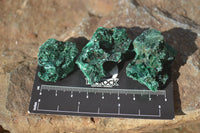 Natural Chatoyant Silky Malachite Specimens  x 35 From Congo