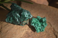 Natural Chatoyant Silky Malachite Specimens  x 35 From Congo