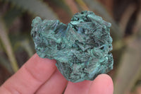 Natural Chatoyant Silky Malachite Specimens  x 35 From Congo