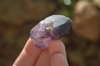 Natural Window Amethyst Crystals  x 35 From Chiredzi, Zimbabwe