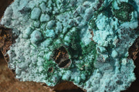 Natural Drusy Chrysocolla Dolomite Specimens x 2 From Likasi, Congo