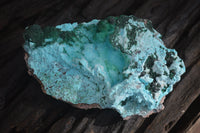 Natural Drusy Chrysocolla Dolomite Specimens x 2 From Likasi, Congo