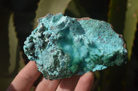 Natural Drusy Chrysocolla Dolomite Specimens x 2 From Likasi, Congo