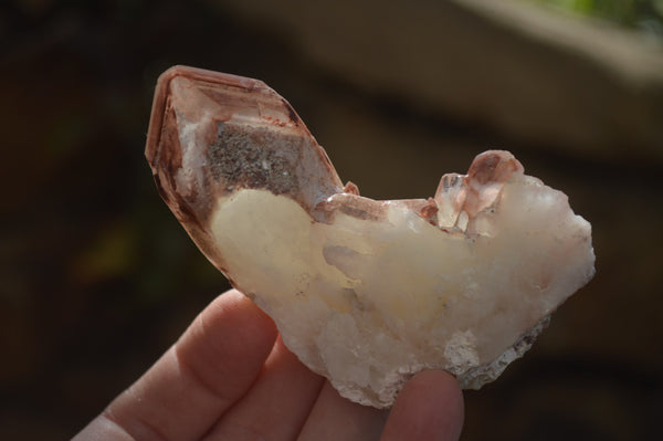 Natural Red Hematoid Quartz Specimens x 24 From Karoi, Zimbabwe