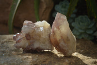 Natural Red Hematoid Quartz Specimens x 24 From Karoi, Zimbabwe